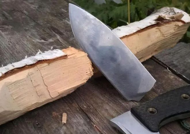 地球上最硬的木材：子弹射不穿刀斧劈不烂我国大量收购(图3)