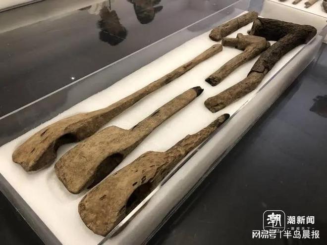 这批几千岁的“病人”拿到“出院证明”(图11)