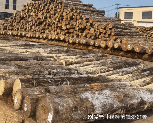 武汉防腐木价格多少钱一方？(图1)
