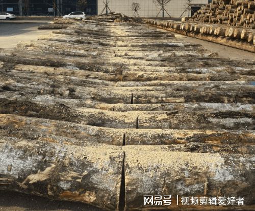 武汉防腐木价格多少钱一方？(图2)