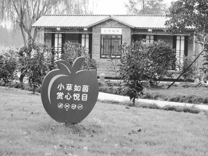 生态公厕亮相鄞州公园外墙采用防腐木材料(图1)