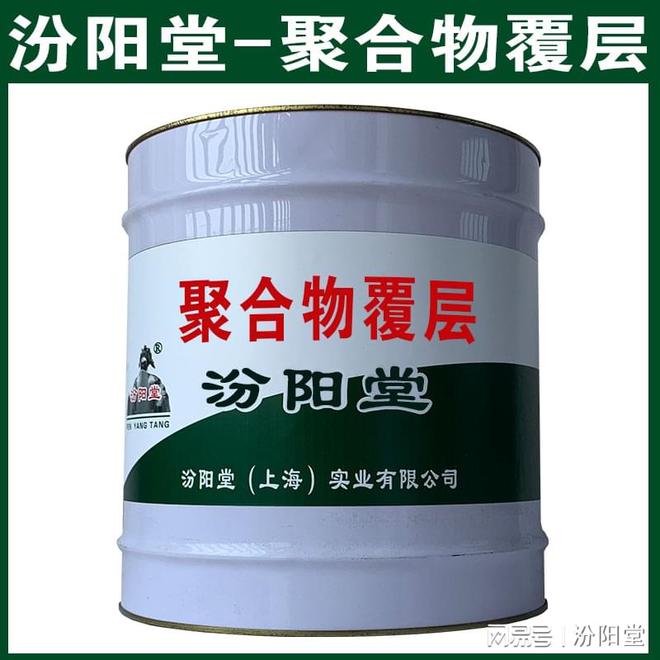 聚合物覆层它即能作为防水防腐层。聚合物覆层(图2)