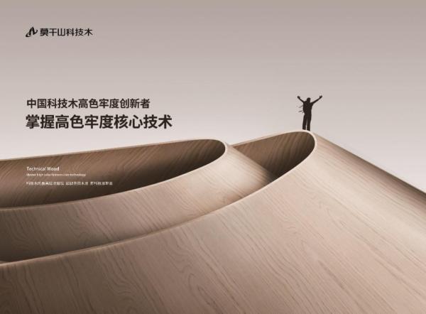 聚焦莫干山科技木构筑时尚绿色产业方向(图4)