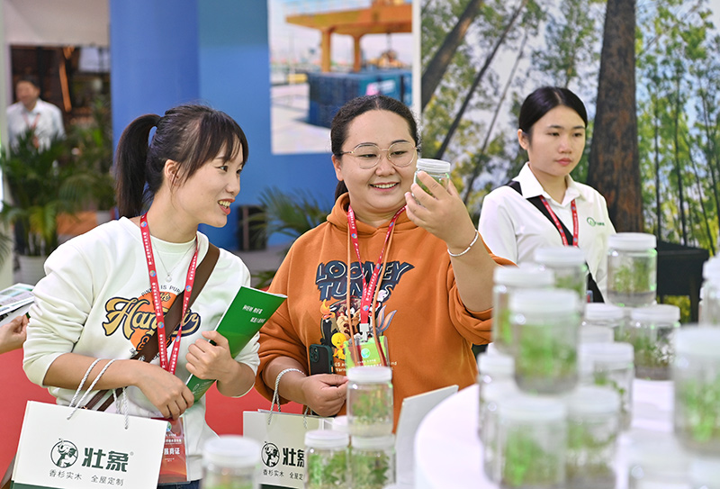2023年中国－东盟博览会林产品及木制品展开展(图2)