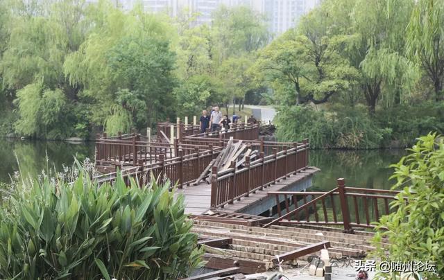 市文化公园：维修木质设施确保游客安全(图2)