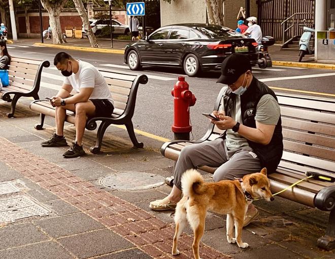 实地探访：申城2万把公共座椅比拼“时尚感”也比拼“舒适度”(图3)