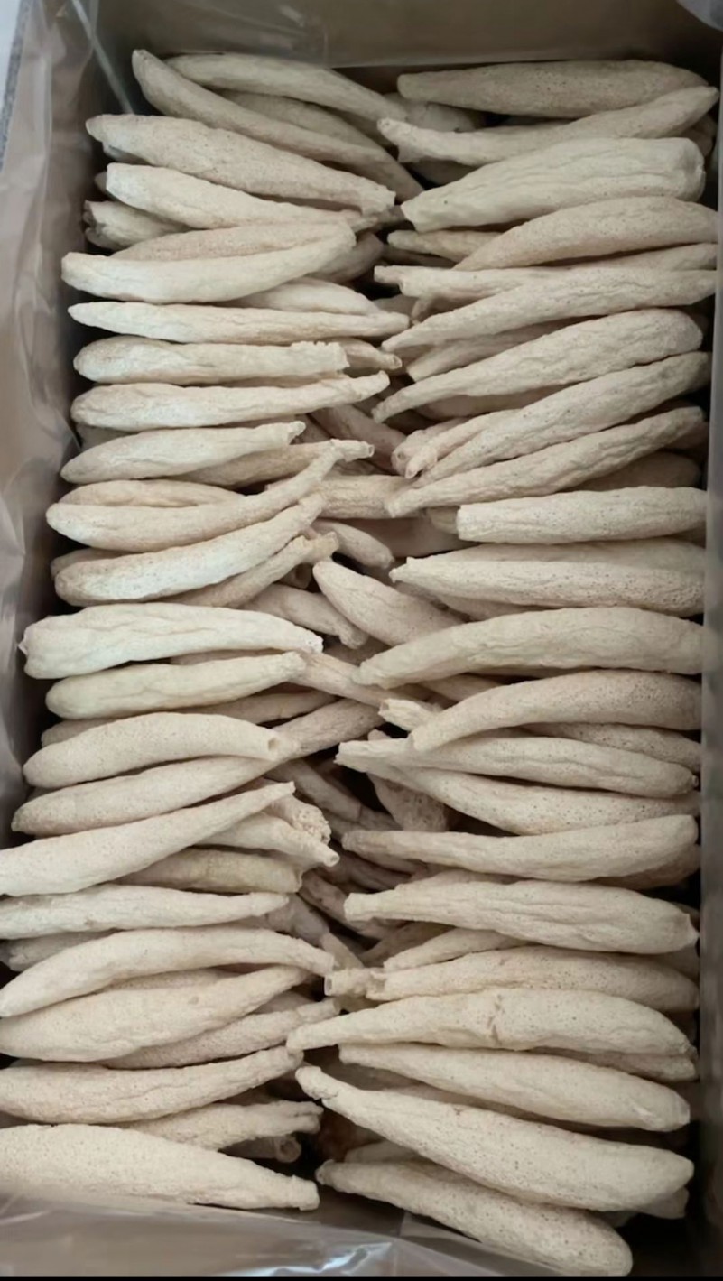 黔秦联袂攻关冬荪工厂化栽培获得成功_产业资讯_食用菌新闻_中国食用菌商务网(图2)