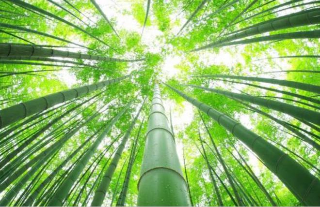 古代将军用的“枪”是用什么做成的？并非铁棍普通人根本用不起(图27)