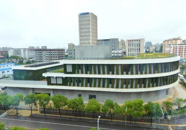 上海今年建设立体绿化437万平方米“见缝插绿”打造城市美学(图7)