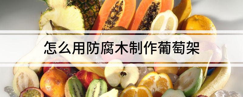 怎么用防腐木制作葡萄架(图1)