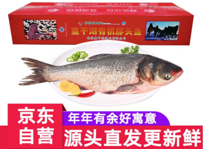 查干湖冬捕开启：出厂价上涨约一成线上定制包销主力规格不涨价(图3)