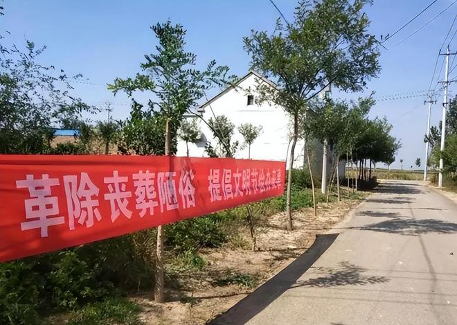 “火葬”不流行了？新的丧葬形式在国内浮现很多人表示太不人道(图3)