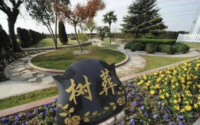 “火葬”不流行了？新的丧葬形式在国内浮现很多人表示太不人道(图20)