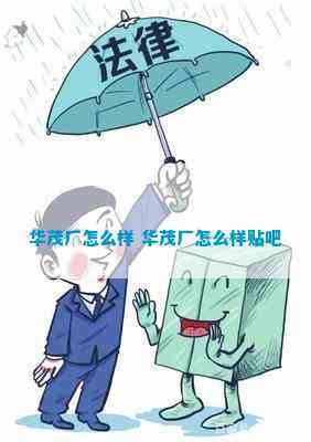 华茂拖欠工资(图4)