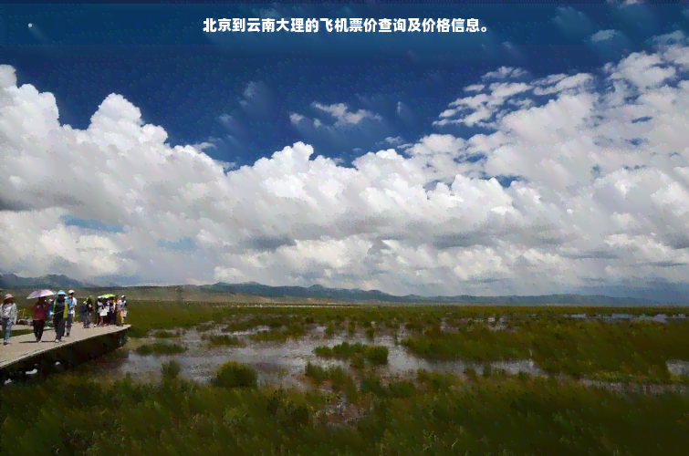 北京到云南大理的飞机票价查询及价格信息。(图1)