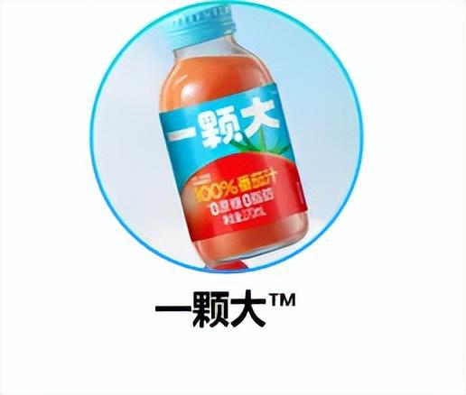 回溯2024展望2025特别采访：动荡中寻机遇品牌坚守与创新并行(图5)