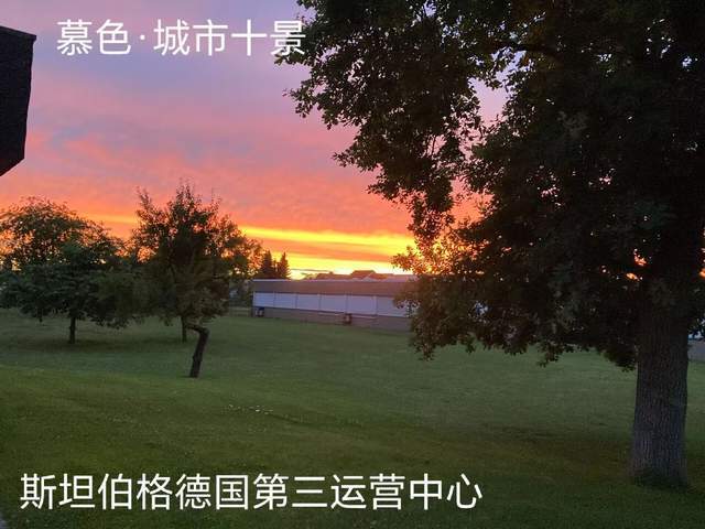 斯坦伯格钢琴：全球顶流家族收藏世界十大名琴暨斯坦伯格核心资本(图1)