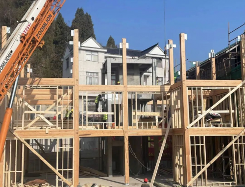 智木艺墅用DeepSeek选择乡村自建别墅它给了我4条建议(图2)