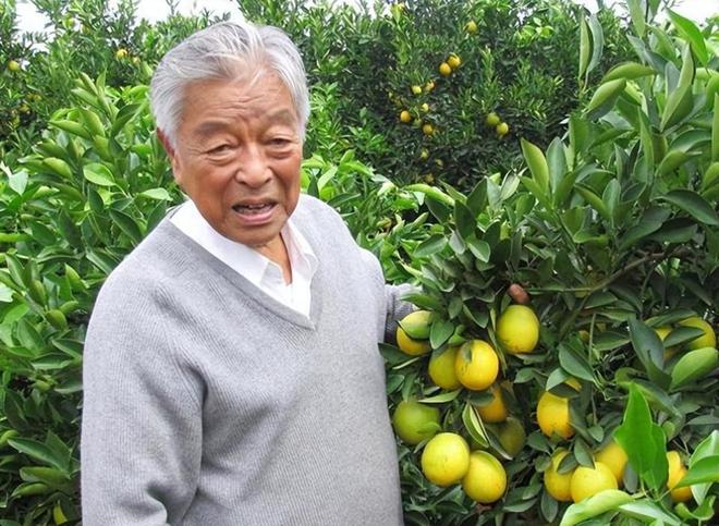 商业教父褚时健：真正的强者从不被命运定义(图2)