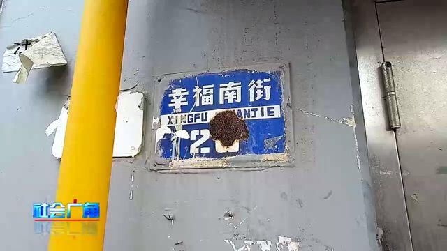 别了！幸福南路铁路桥(图10)