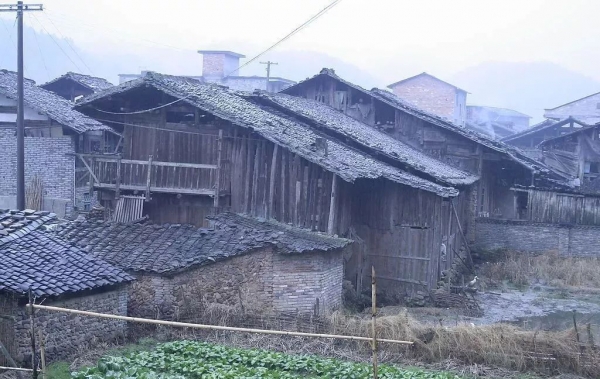 奇怪现象！农村房子一旦不住人几年就烂了(图6)
