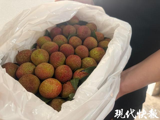 荔枝“打飞的”抢鲜登陆苏州市场每斤60元左右(图1)