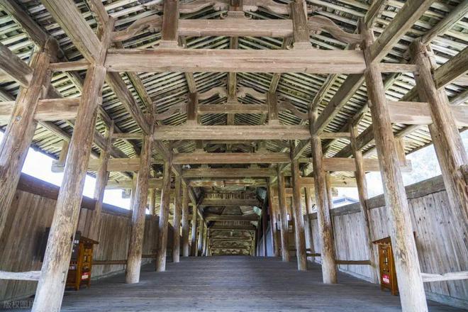 农村建房“上梁”用什么树木最好?这五种就很不错你家用对了吗(图3)