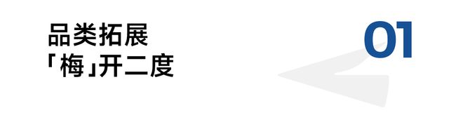 对话溜溜梅CBO梅惠祥:什么构成了一颗青梅的垂类统治力?(图1)