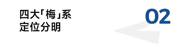 对话溜溜梅CBO梅惠祥:什么构成了一颗青梅的垂类统治力?(图3)