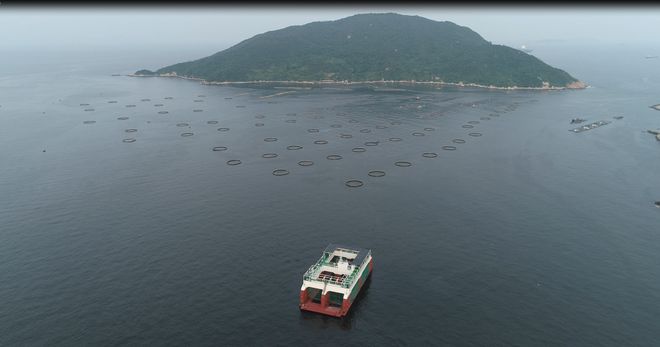 我国首座半潜式波浪能养殖平台“澎湖号”:5万斤大规格赤嘴鳘上市!(图2)