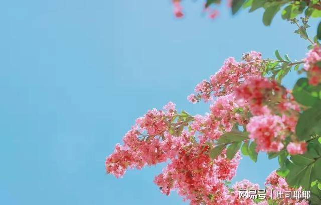 新一轮降雨高温组团来袭这些地方的老乡得留神！(图1)