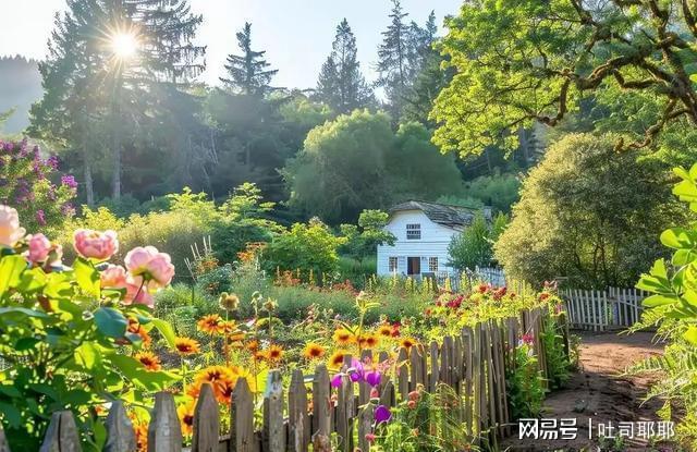 新一轮降雨高温组团来袭这些地方的老乡得留神！(图3)