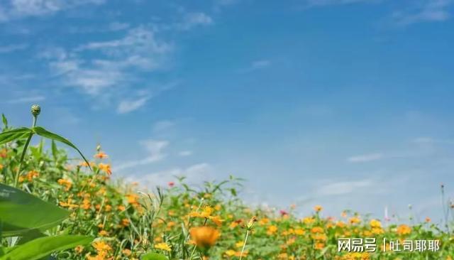 新一轮降雨高温组团来袭这些地方的老乡得留神！(图4)