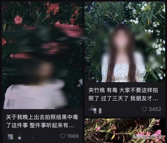 200多人发烧住院后续:提拉米苏里放“夹竹桃”商家已被立案(图11)