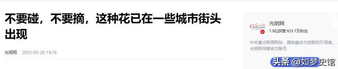 200多人发烧住院后续:提拉米苏里放“夹竹桃”商家已被立案(图20)
