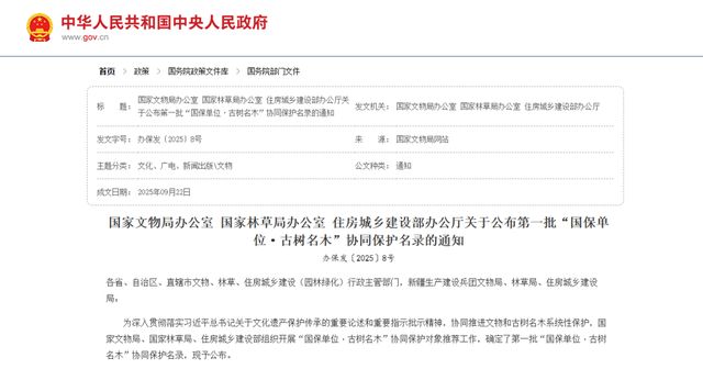 上海700年寺庙突然走红因为殿前650岁的“老人家”(图1)