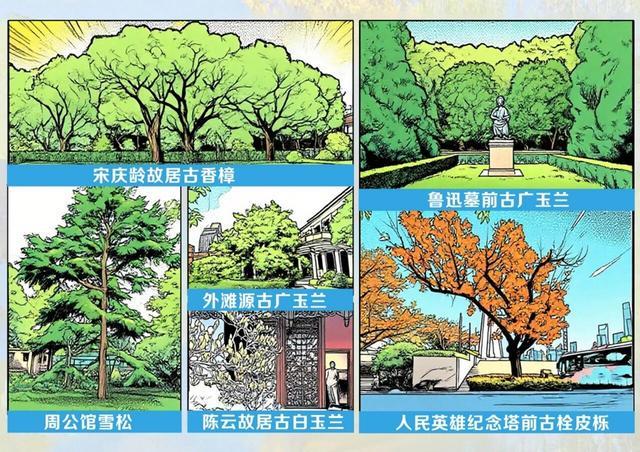 上海700年寺庙突然走红因为殿前650岁的“老人家”(图3)
