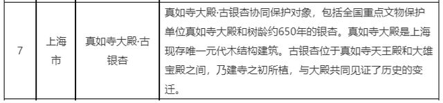 上海700年寺庙突然走红因为殿前650岁的“老人家”(图2)