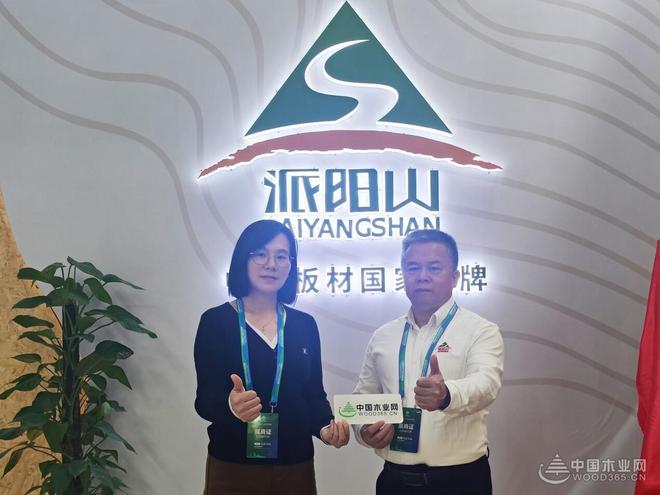 祥盛股份副总经理莫帆：让“派阳山”服务万千家庭美好人居生活(图3)