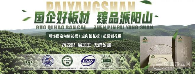 祥盛股份副总经理莫帆：让“派阳山”服务万千家庭美好人居生活(图12)