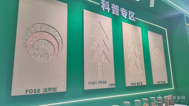 祥盛股份副总经理莫帆：让“派阳山”服务万千家庭美好人居生活(图4)
