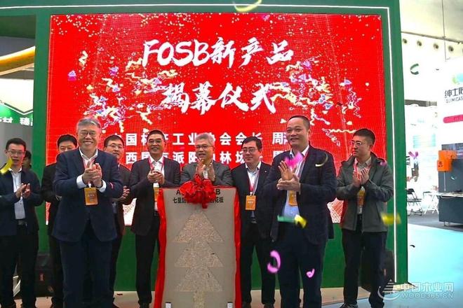 祥盛股份副总经理莫帆：让“派阳山”服务万千家庭美好人居生活(图1)