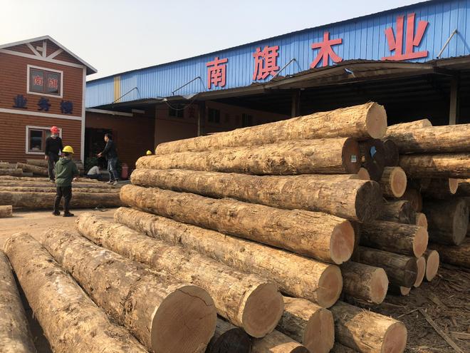 千万不能错过！性价比超高的花旗松建筑木方TOP榜单揭晓(图2)