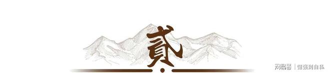 木中钢铁：子弹难穿的坚固木材中国为何大量收购？(图5)
