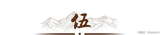 木中钢铁：子弹难穿的坚固木材中国为何大量收购？(图14)