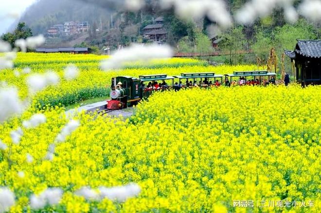 轨道观光小火车的价格是多少？投资决策和运营谋略(图5)