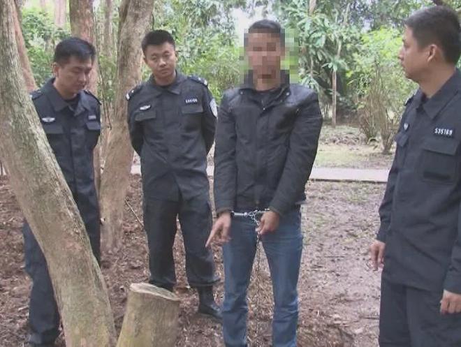 云南51年黄花梨三男子在雨夜将其锯走藏在鱼塘事败逃往东南亚(图2)