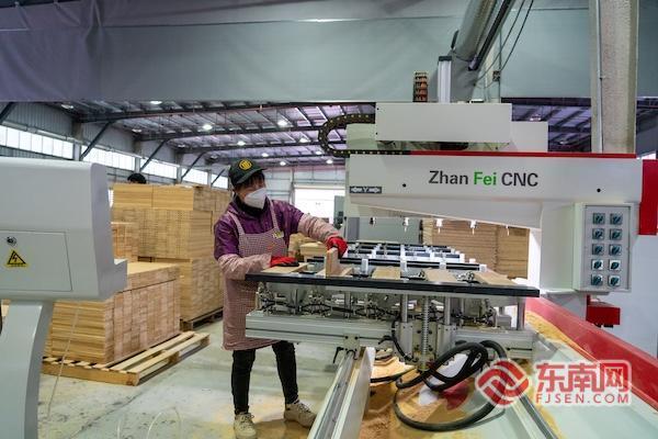 点竹成金！连城小毛竹闯全球绿富共赢谱新篇(图2)