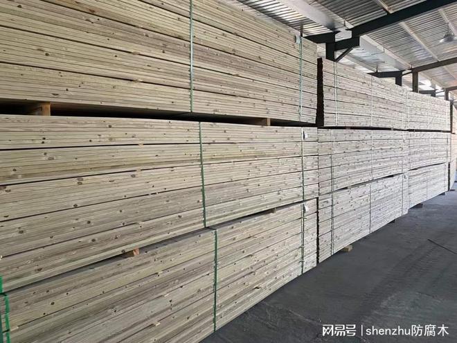樟子松户外寿命究竟有多长？深度解析影响耐用性的核心要素(图1)